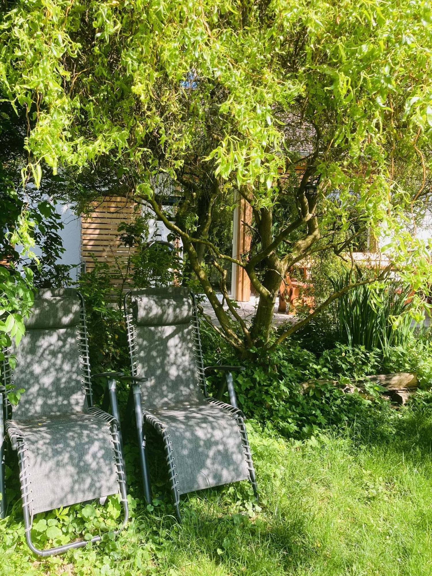 Ferienhaus Urwald Хофгайсмар Екстериор снимка