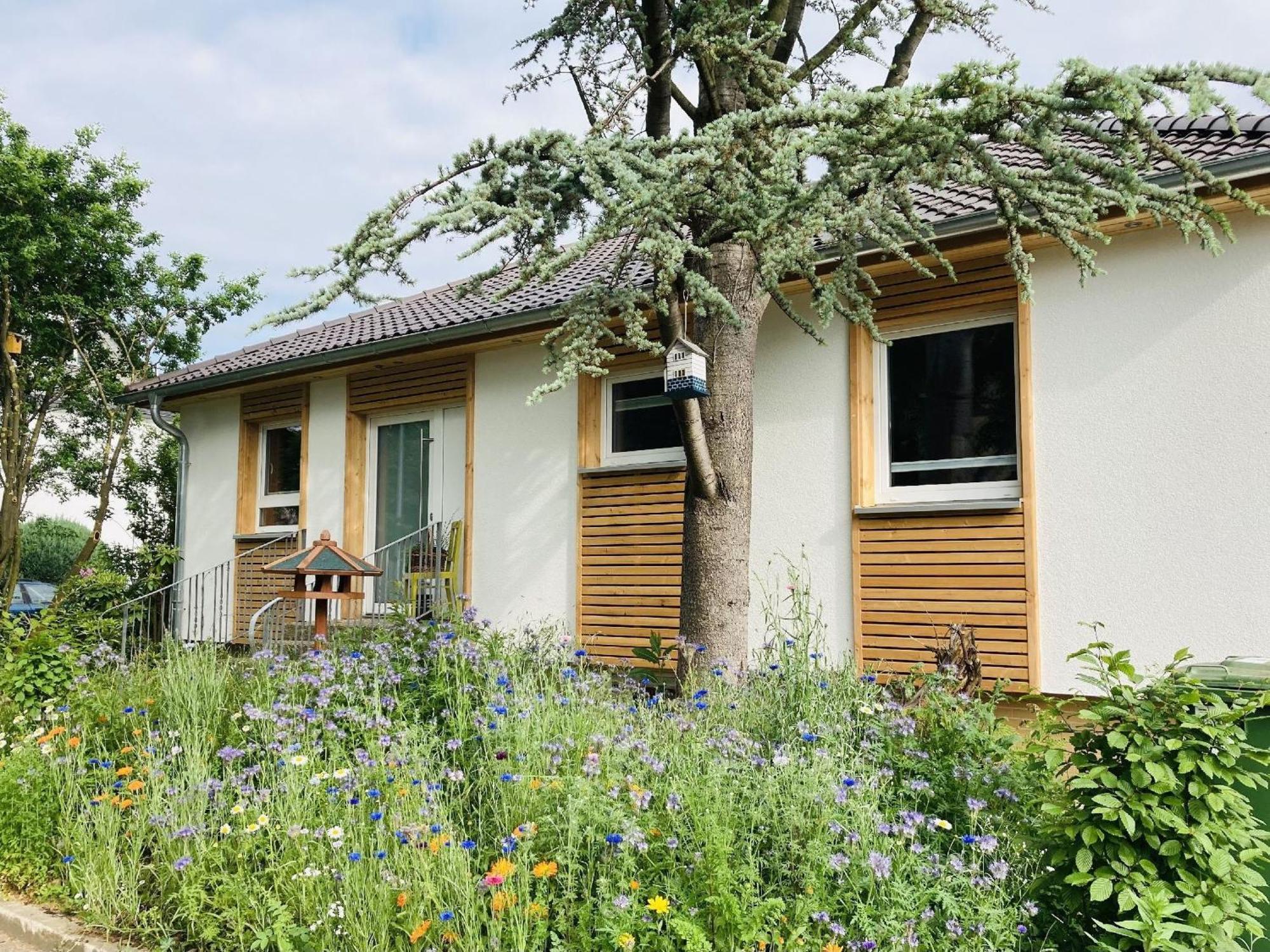 Ferienhaus Urwald Хофгайсмар Екстериор снимка